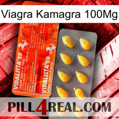 Viagra Kamagra 100Mg new01